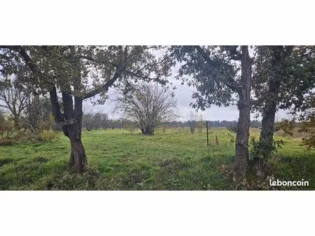 terrain 2 860 m² longages