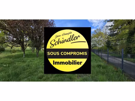 achat terrain 1 168m² rougemont le chateau 90110