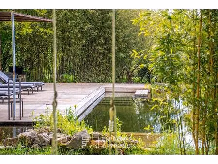 charmante propriété en pierre avec piscine naturelle et lodge au cœur de la nature