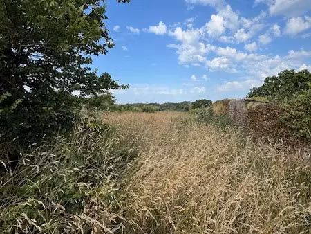 vente maison 6 pièces 125 m² à goulien (29770)  299 900 €