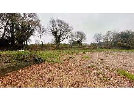 vente terrain 919 m² bon repos sur blavet (22570)