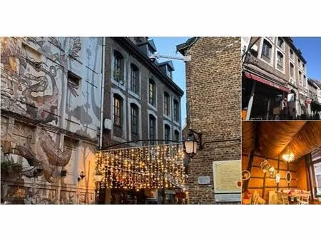 surface commerciale à vendre à rue roture 24 liège (vbd61802)