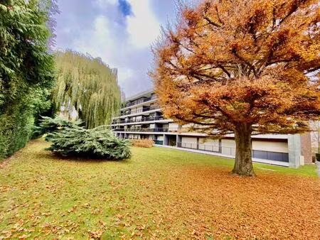 appartement 7 pièces  st saulve