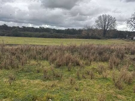 terrain constructible viabilisé à vendre