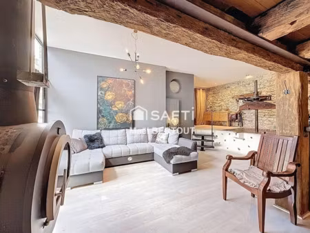 vente maison 10 pièces 230 m² à saint-genix-les-villages (73240)  598 000 €