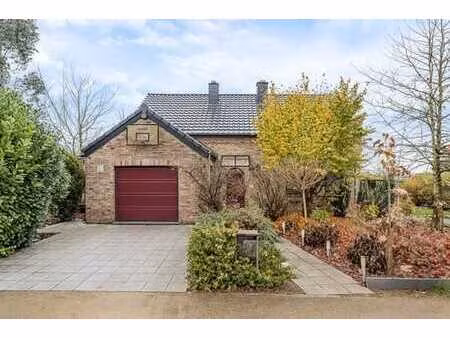 option...option...option....