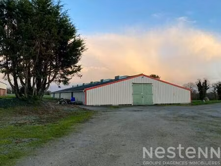 location bureaux et commerces à guénin (56150) : à louer / 900m² guénin