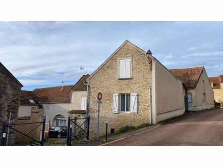 vente immeuble 359 m² annay-la-côte (89200)