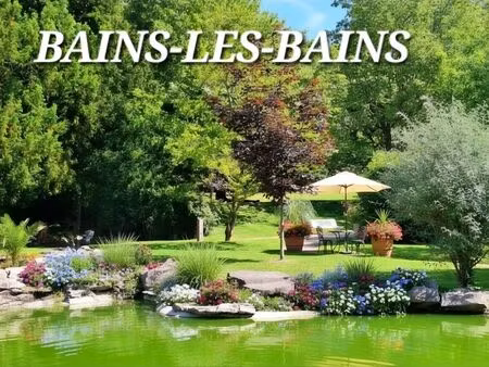 vente immeuble 353 m² la vôge-les-bains (88240)