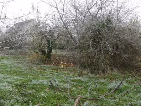 vente terrain à batir 766 m² à coulommiers (77120)  66 000 €