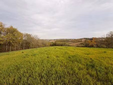 vente terrain à pessan (32550)  54 999 €