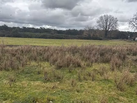 vente terrain 1000 m² à ghisonaccia (20240)  124 000 €