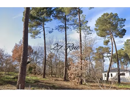 vente terrain à batir à grazac (31190)  85 000 €