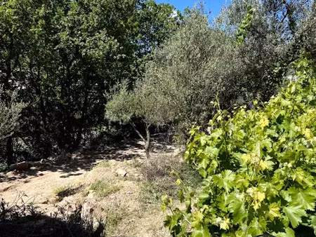vente terrain 1410 m² à solliès-toucas (83210)  188 000 €