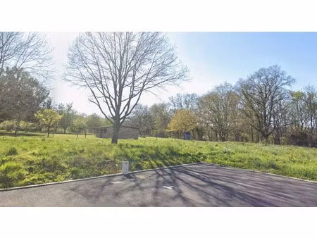 vente terrain 700 m² à puydaniel (31190)  90 000 €