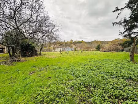vente terrain 1320 m² à montesquieu-volvestre (31310)  84 500 €