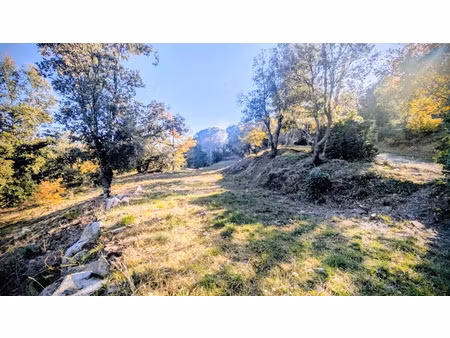 vente terrain à batir 2700 m² à oms (66400)  160 000 €