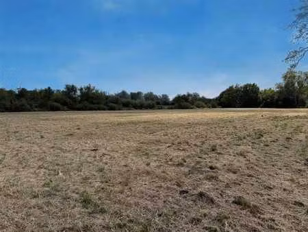 terrain agricole à vendre à schriek !