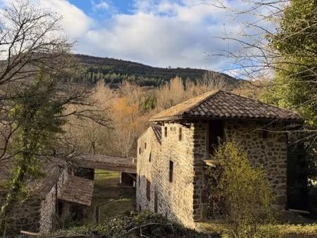 moulin en pierre du 14ème sur plus de 9000 m2 de terrain en