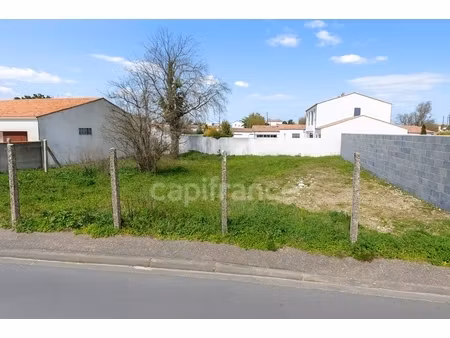 à vendre – terrain à bâtir entièrement viabilisé 446 m² – zone ub – exposition sud – 137 8