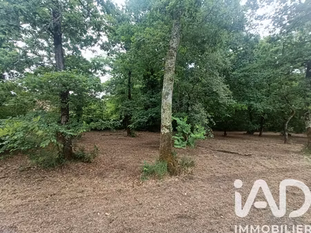 vente terrain 1 567 m²