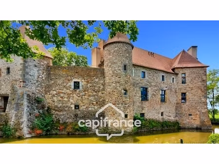château à vendre au coeur du bocage bourbonnais sur un parc de 1 5 ha