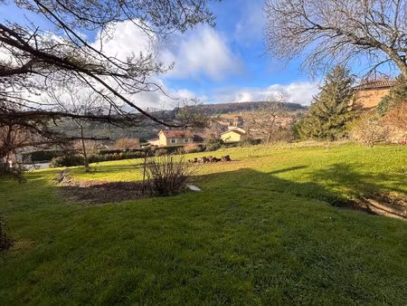 achat terrain 1 011m² cogny 69640