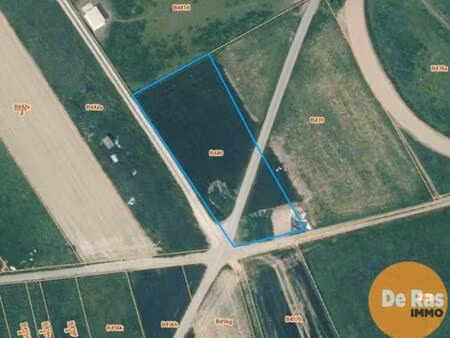 landbouwgrond te koop in haaltert