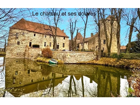 propriété à vendre doyet 5 pièce(s) 350m2 950 000€