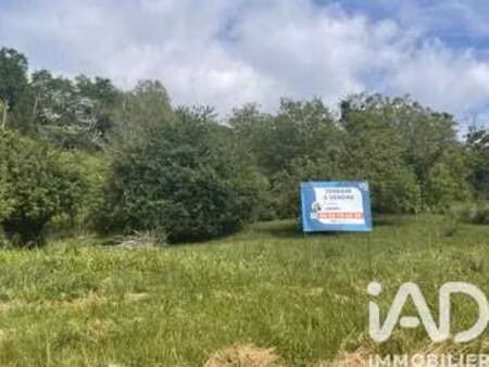vente terrain à monein (64360) : à vendre / 980m² monein