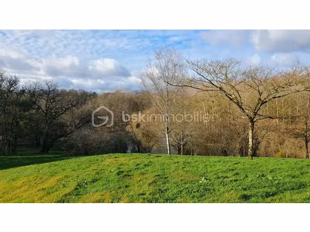 vente propriété 11 pièces 333 m² à ceaux-en-couhé (86700)  320 000 €