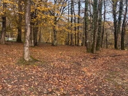 vente terrain 800 m² camarsac (33750)