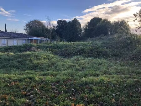 vente terrain vertheuil (33180)