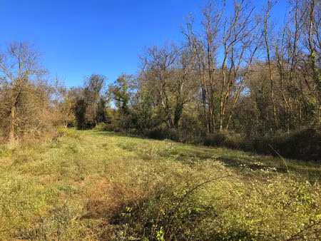 vente terrain 1488 m² mauguio (34130)