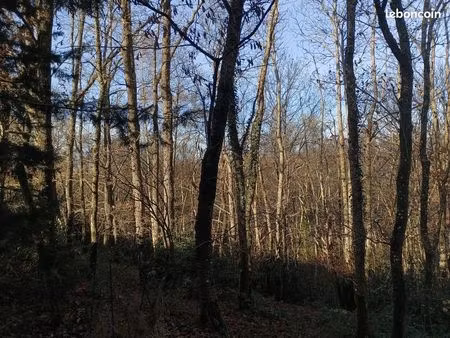 bois nature loisirs chasse