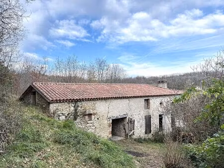 maison en pierre à rénover