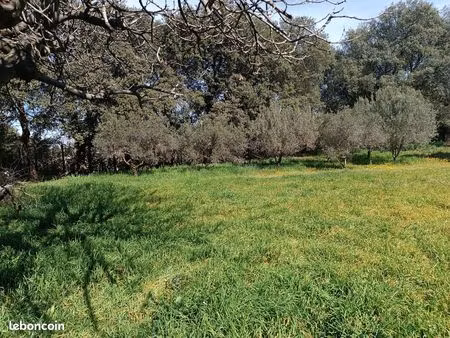 terrains à bâtir - plan d'orgon