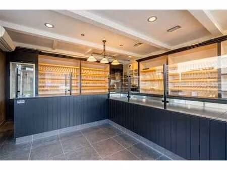 maison avec locaux commerciaux à vendre à grootlo !