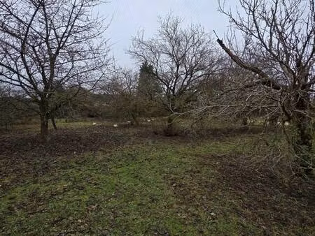 terrain constructible viabilisé à vendre