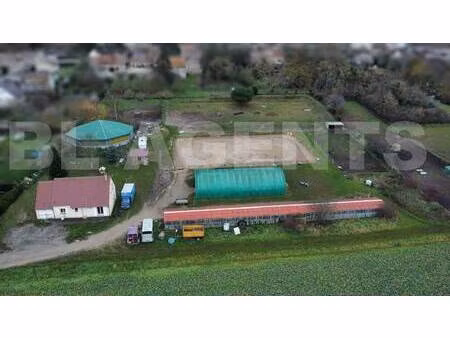 ferme équestre à vendre