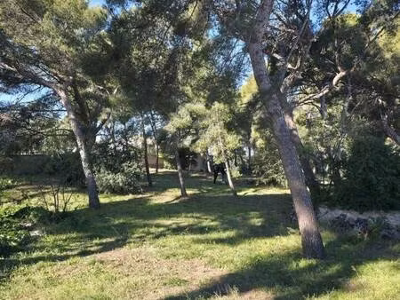 terrain constructible à vendre