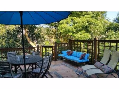 pascale vialan immobilier