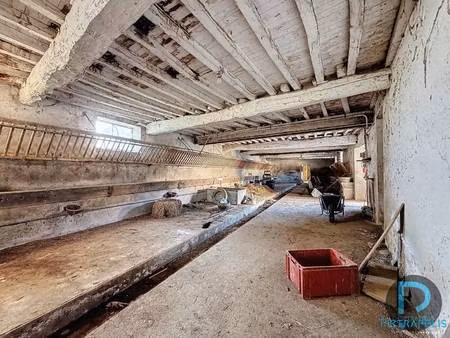 pietrapolis chatillon sur chalaronne