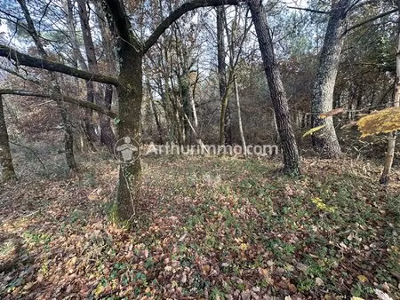 terrain à batir 3000 m²  boisé.