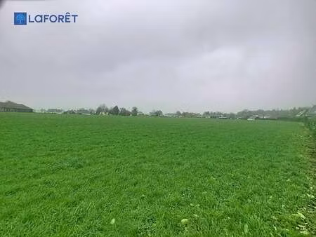 vente terrain à saint-gonnery (56920) : à vendre / 10304m² saint-gonnery