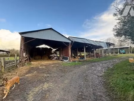vente terrain 20000 m² à auquainville (14140)  42 400 €