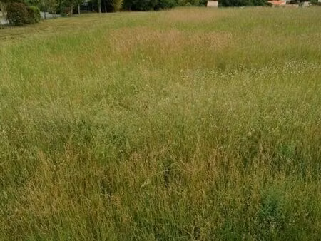 terrain 1256 m² pisany