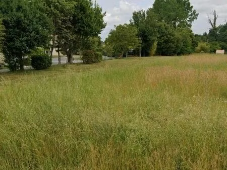 terrain 533 m² pisany