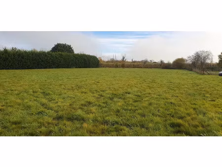 vente terrain 6911 m² à gardonne (24680)  80 800 €