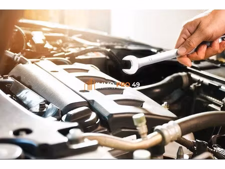 vente locaux professionnels 236 m² à trémentines (49340)  49 000 €